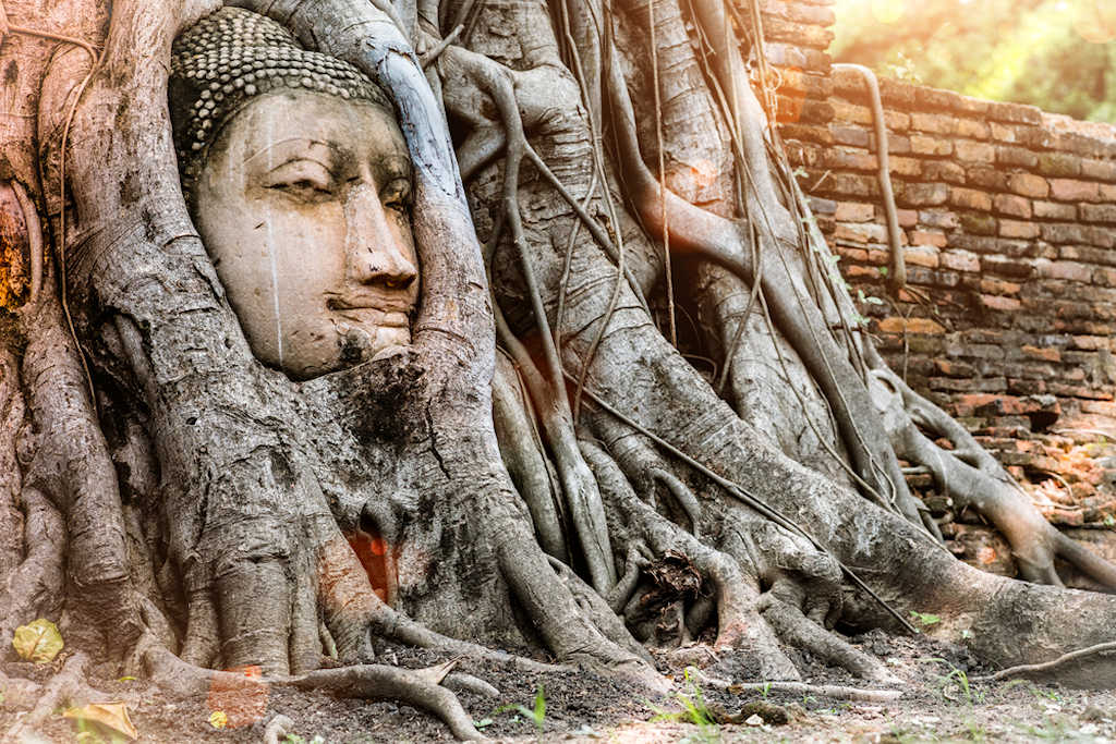 1024 Ayutthaya Buddha Head statue with trapped in Bodhi Tree roots at Wat Maha That shutterstock 683138305