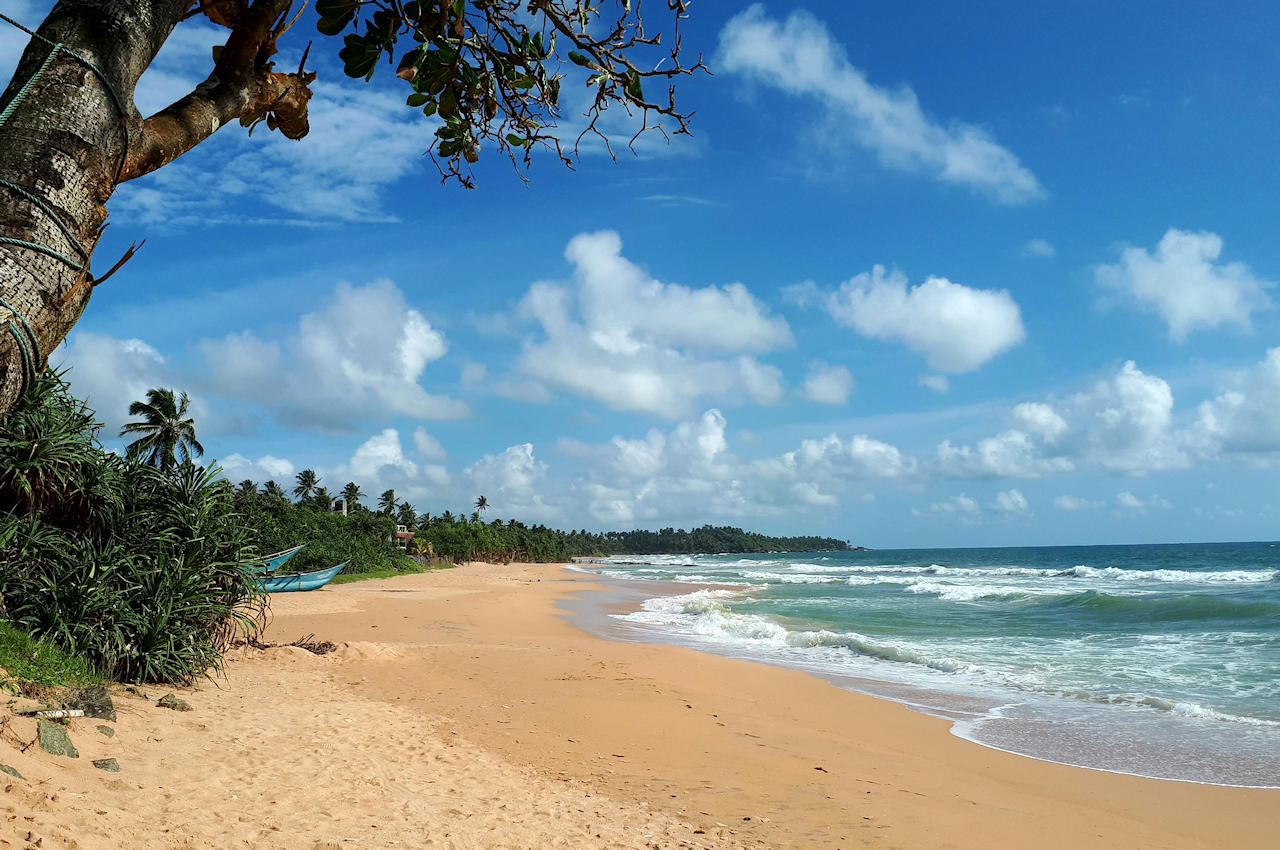 1280 Kosgoda Beautiful beach in Sri Lanka near shutterstock 2041302470