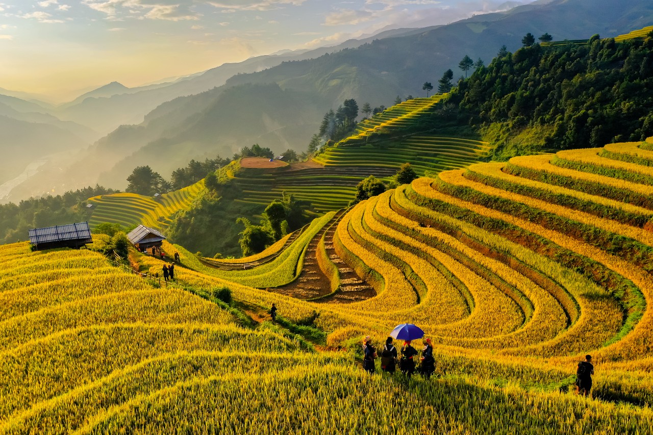 1280 Mu Cang Chai Yen Bai shutterstock 1533410705