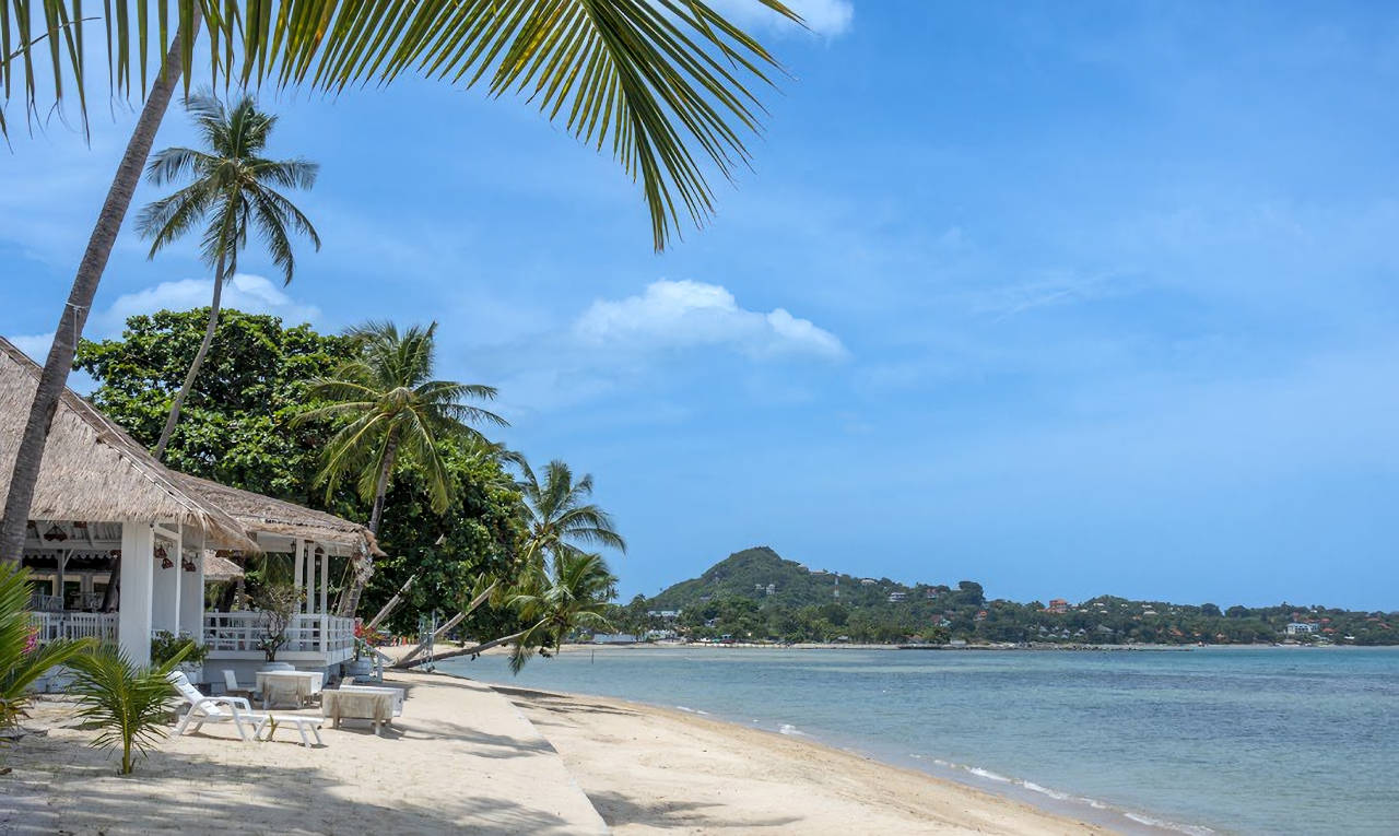 1280 Sand Sea Beach Resort Gallery 2 1