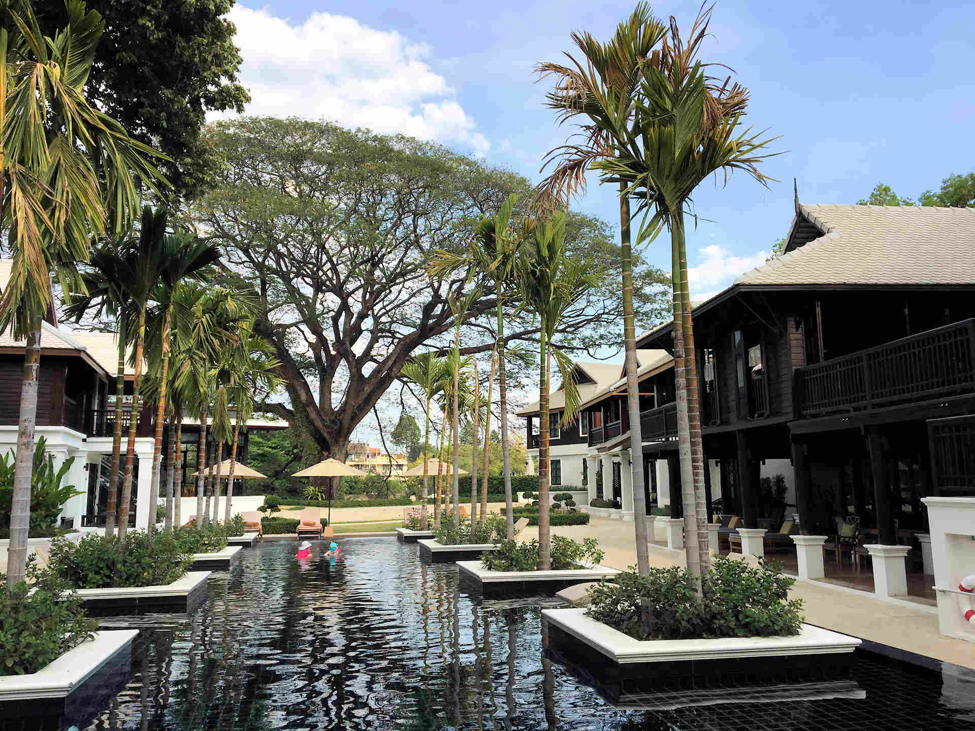 1920 Na Nirand Blick auf Baum2