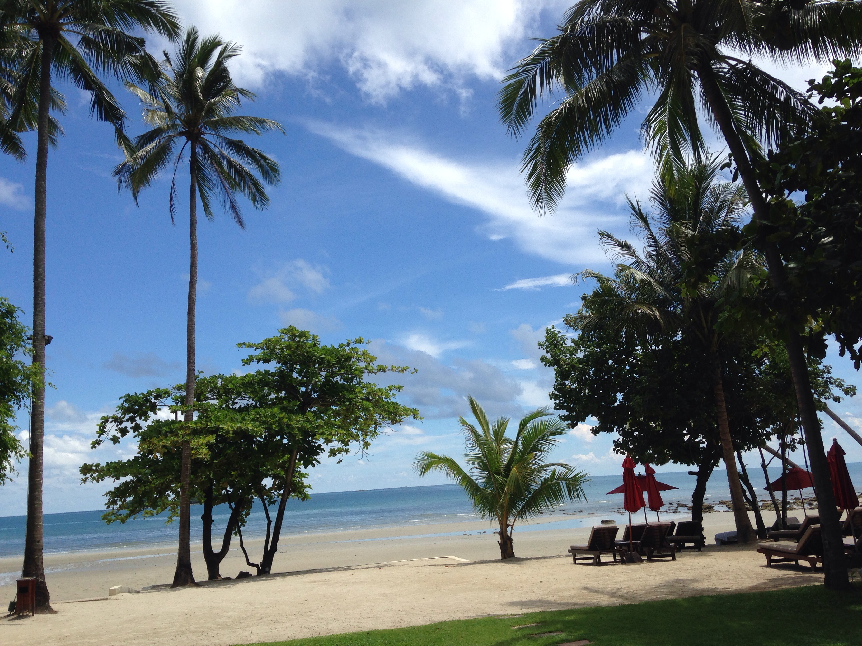 3 03 20140602 053520206 iOS