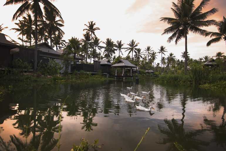 770 Anantara Mai Khao Hi APK 78281033 Residents