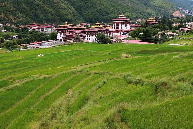 770 Bhutan Green rice terrace and Tashichhodzong Thimphu shutterstock 1177310311
