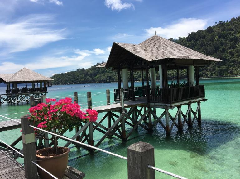 770 Bunga Raya20170523 034232592 iOS