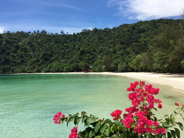 770 Bunga Raya20170523 034250872 iOS