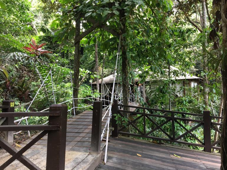 770 Bunga Raya20170523 040706513 iOS