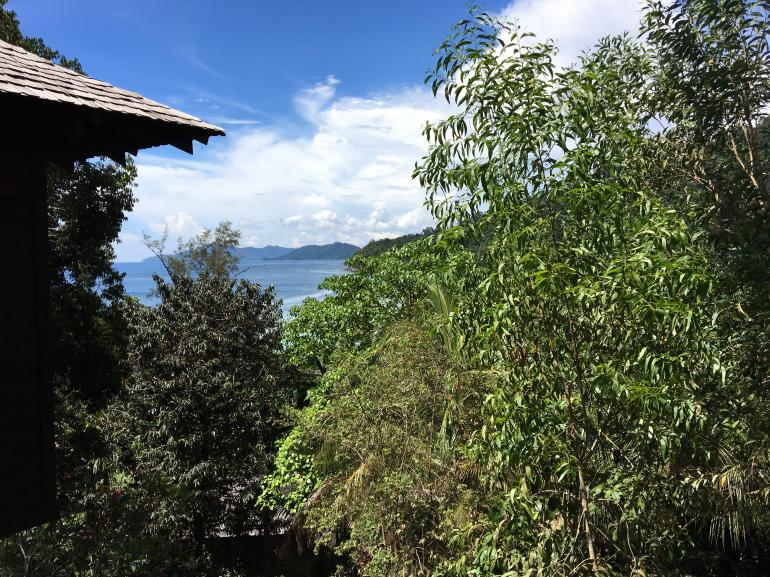 770 Bunga Raya20170523 053313556 iOS