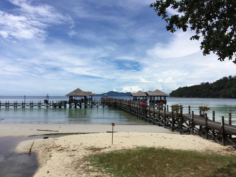 770 Bunga Raya20170524 045946727 iOS