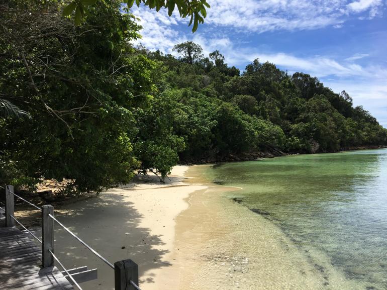 770 Bunga Raya20170524 050619269 iOS