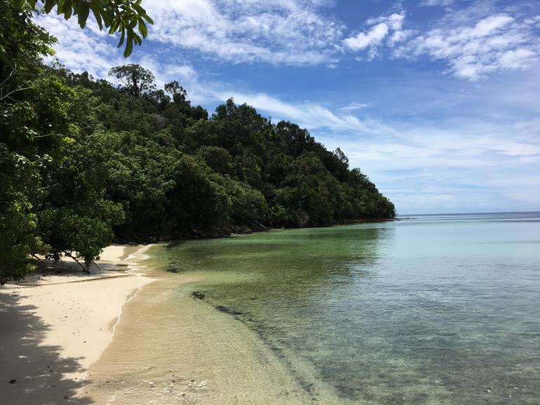 770 Bunga Raya20170524 050624273 iOS