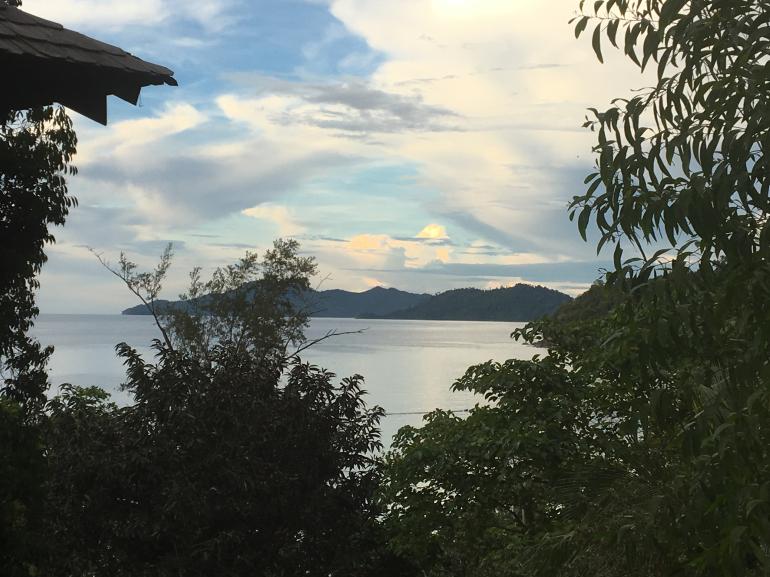 770 Bunga Raya20170524 094550164 iOS