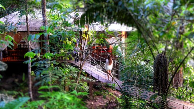 770 Bunga Rayaspa494145867 4083 A6F0 CEA1 EA7465834167