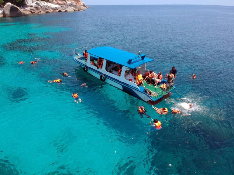 770 Coconut 5be2ecc1f8bbfb29c2d9c88f 01aa200d 94b5 426f 8a64 41cee90d05c3