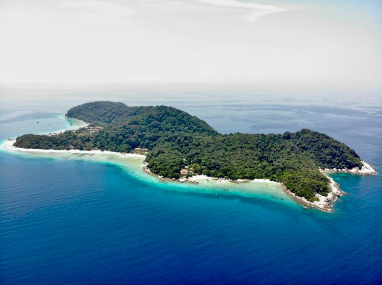 770 Coconut 5be3c59a57362cfd95ed795e 68cf0ffe 6523 4751 9bdb 863778b34801 1