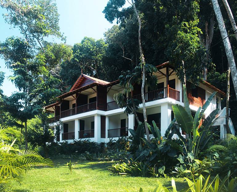 770 Coconut 5bf271c2017c2182b80a5425 img family 1