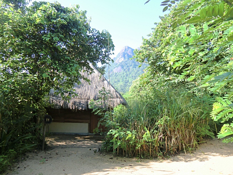 770 Gal Oya Lodge CIMG0512