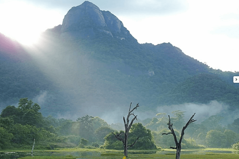 770 Gal Oya Lodge Landschaft2