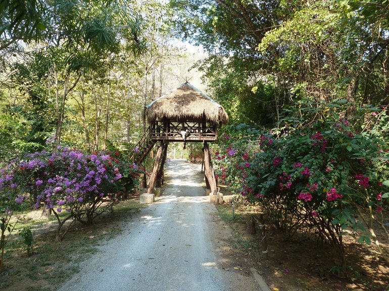 770 Hintok Camp P1080640