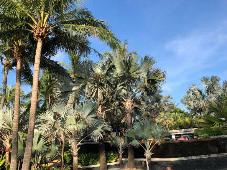 770 JW Marriott HKT 20190417 100602256 iOS