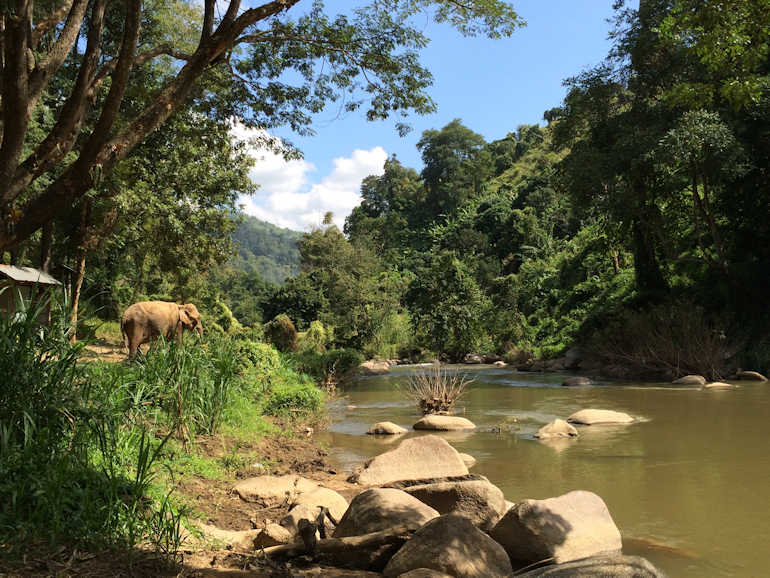 770 Mae Taeng Fluss 20151126 051223058 iOS