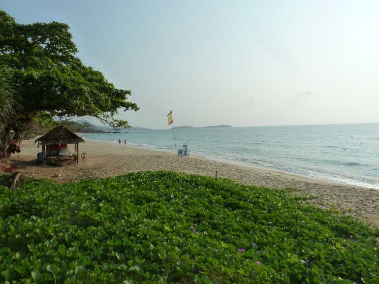 770 New Star SamuiP1100213