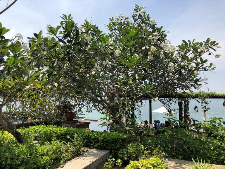 770 Pangkor Laut 20190529 042613580 iOS