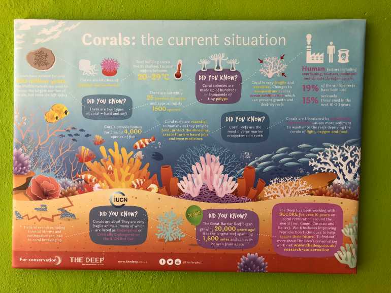 770 Rawa Island 20190523 051423594 iOS