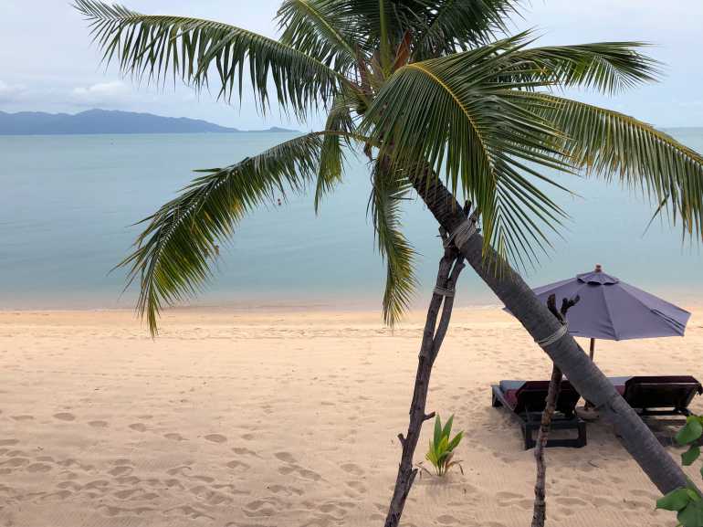 770 Saree Samui 20180912 033726023 iOS