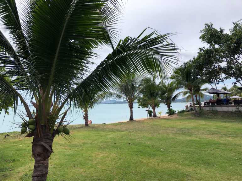 770 Saree Samui 20180912 034322583 iOS