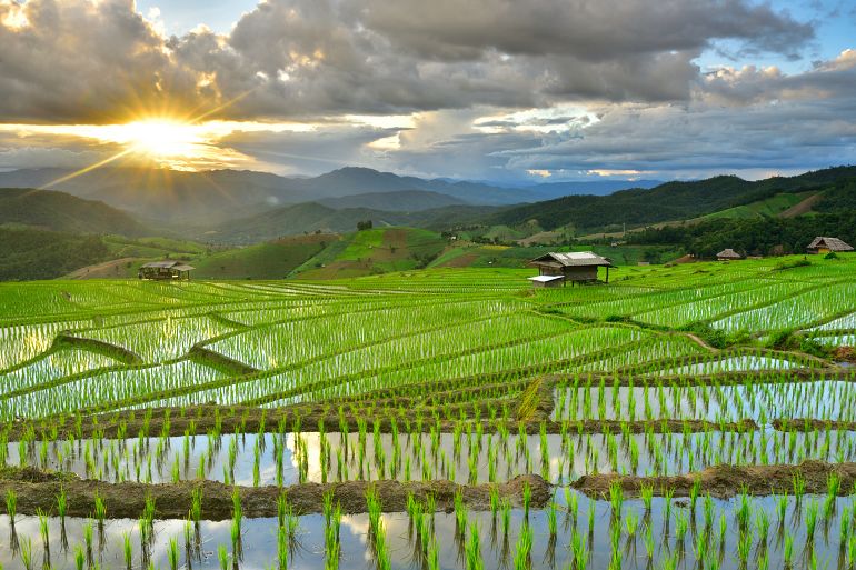 770 Sensationell Nord Rice terrance In green season Chiangmai shutterstock 721586797