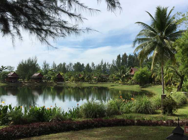 770 Thai Life20170506 024233122 iOS