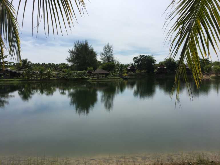 770 Thai Life20170506 025241095 iOS