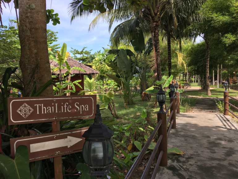 770 Thai Life20170506 031644367 iOS