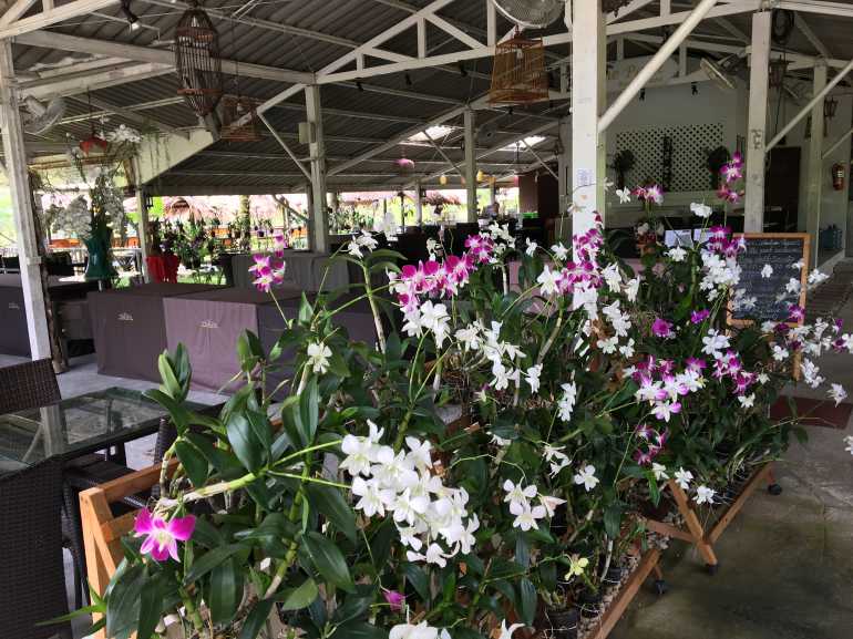 770 Thai Life20170506 031657677 iOS