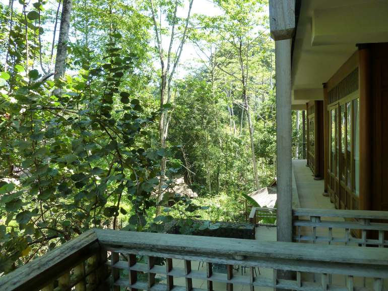 770 The Datai P1030070