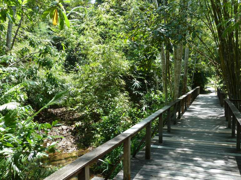 770 The Datai P1030088