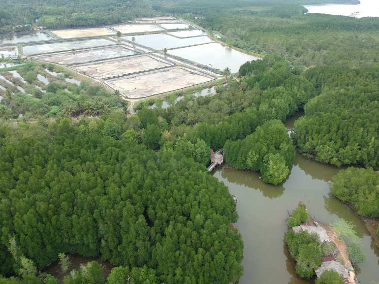 770 Unbekanntes Koh Chang Asia Evo Unkown 4