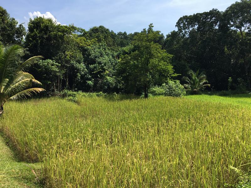 800 20170502 031457835 iOS