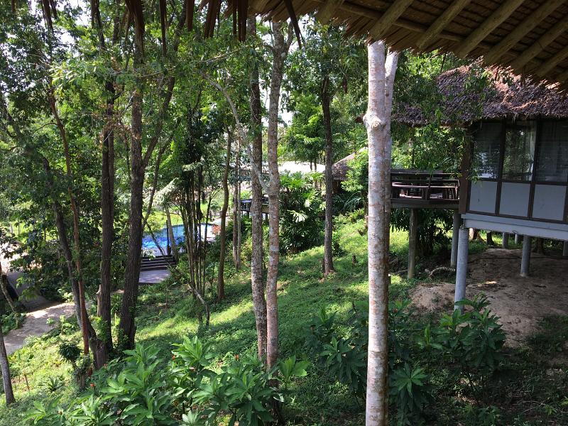 800 20170502 035639640 iOS