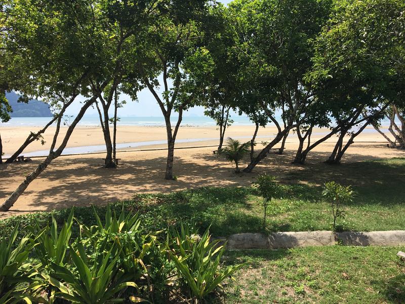 800 20170502 040133067 iOS