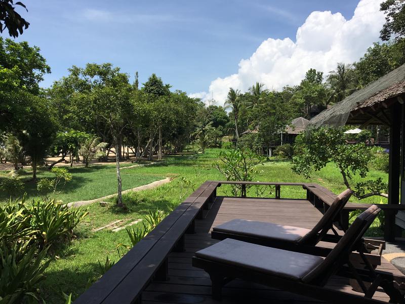 800 20170502 040458797 iOS