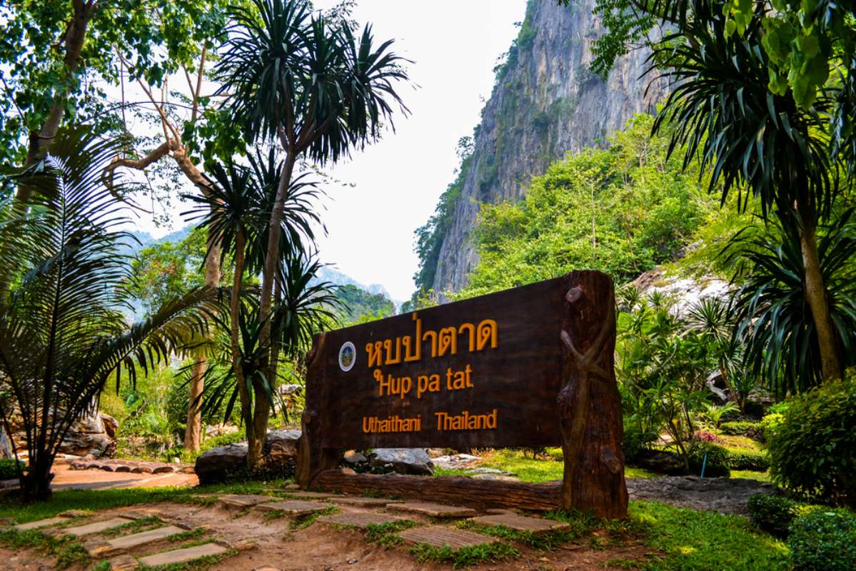 800 Hup Pa Tad National Park is an ancient forest shutterstock 1612992880