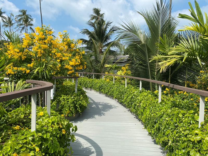 800 Melia Samui 20210319 075339015 iOS