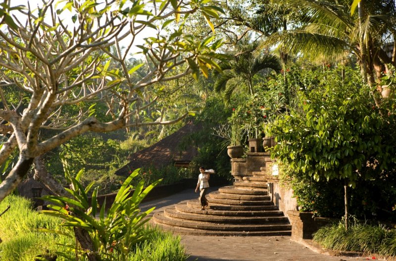 800 Payogan garden 3