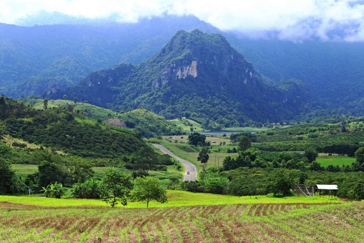 800 Phu Langka Forest Park in Phayao Province shutterstock 1151926607