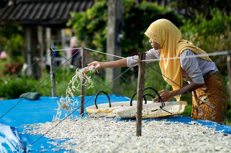 800 gallery dataphoto 342