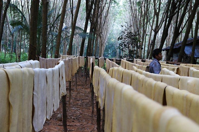 800 gallery dataphoto 345