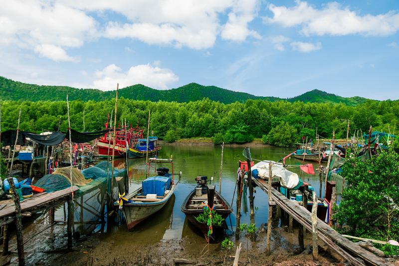 800 shutterstock 1143119978