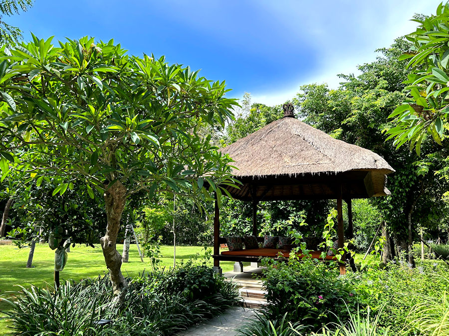 900 20231209 062824083 iOS